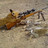 algross1981's profile image