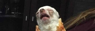 dharmaslacker's profile picture. 