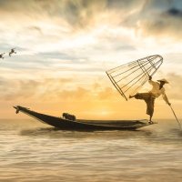 秘侍 (@realnotsatoshi) 's Twitter Profile