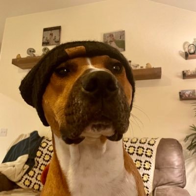 XGutterBusterX's profile picture. Gang Gang