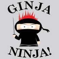 FPL_GingaNinja (@fpl_ginganinja) 's Twitter Profile