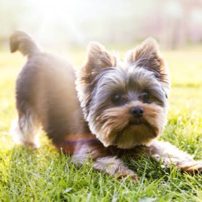 x7ONnWVU6BjZuI's profile picture. 融資してます。お気軽に相談して下さい！  初回50万まで。ブラックの方でも対応可能