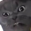 grumpyinvestor1's profile picture. 