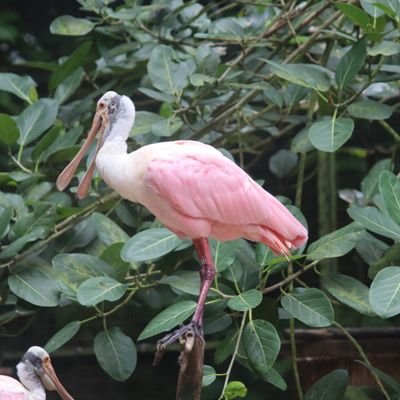 AEBHUVANESWARI's profile picture. 