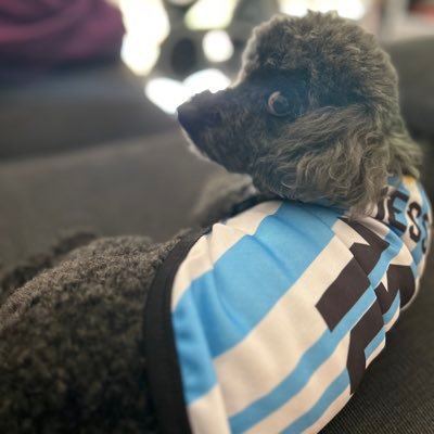 shiffin90's profile picture. Im here but I’m really gone