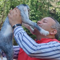 Dr Janak Raj (@jrmlabharmour) 's Twitter Profile Photo