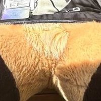 Fursuit Crotch (@fursuitcrotch) 's Twitter Profile