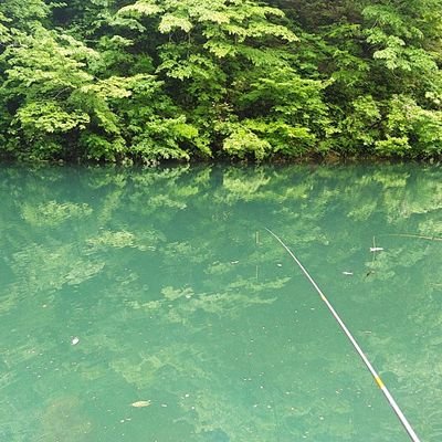 趣味は釣りとバイク。最近は木曽川シーバス。