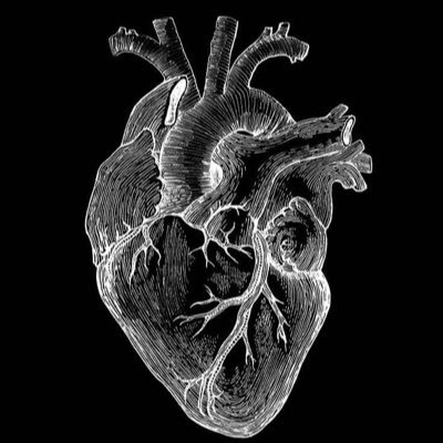 ryuwhittier's profile picture. 👻 Radiologist. Actualmente me encuentro en las minas de la TAC. 😵‍💫