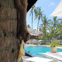 lh (@clnsen) 's Twitter Profile