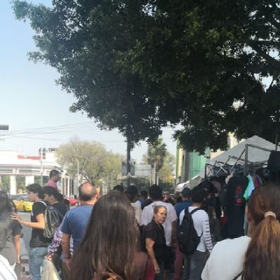 P_Rojoficial's profile picture. 