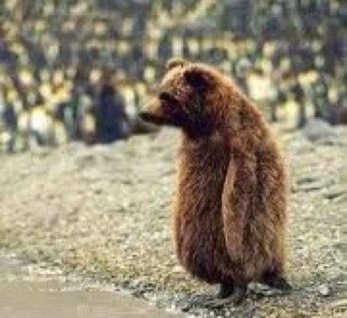 Refresh1710's profile picture. 