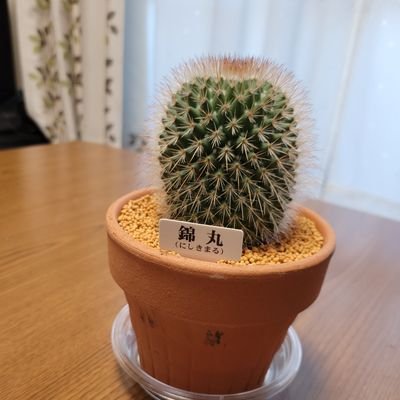 囲碁、麻雀、数学垢
囲碁:少し打てます。加藤正夫先生、今村俊也先生、志田達哉先生推し。
麻雀:雀魂、Mリーグはドリブンズ推し。
数学:数学素人。趣味で独学。