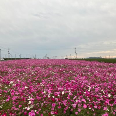 VQDasyfM2nvBsfx's profile picture. 