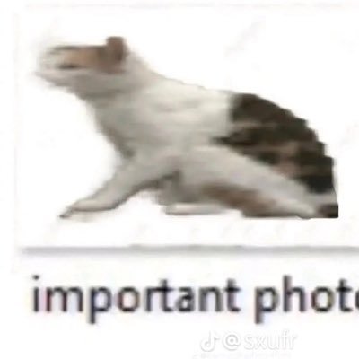 Cham0mile_T's profile picture. STOP GENOCIDE 🇸🇩🇨🇬🇵🇸 | DID SYSTEM | Main: @Cham0mile_TV | https://t.co/uBhWoWybv7