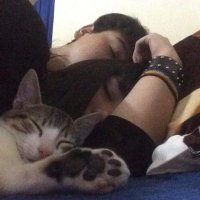 V (@vforrvenndettaa) Twitter profile photo