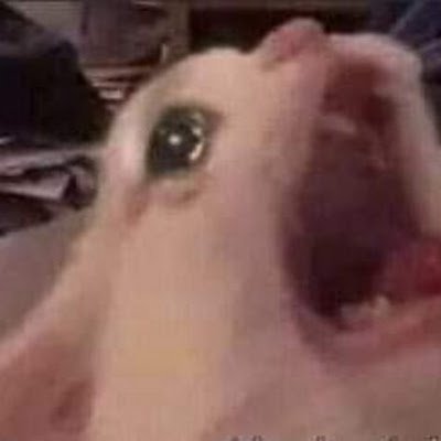 Mellowypie's profile picture. 