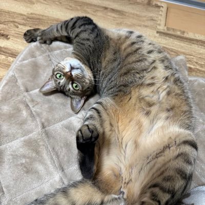 いちのせさんのプロフィール画像