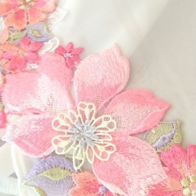 raise_ha_maria's profile picture. 下着が大好き🩱
サイズはI75～M75🌼
サイズが合ってなくてもデザインが好きだったら着ちゃう🌷置き画、着画🩱
サルート🌹リサマリ🐇HEAVENJapan🩵
ラメ糸過激派🌼