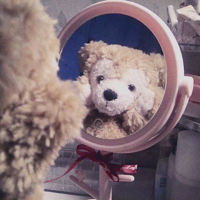 tantantooom's profile picture. 