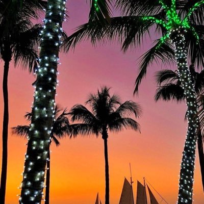 MangoSkye75's profile picture. Freedom loving Patriot ❤️MAGA! 🇺🇸 I follow back all PATRIOTS! 🚫DM. Thx 😊