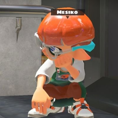 めしこさんのプロフィール画像
