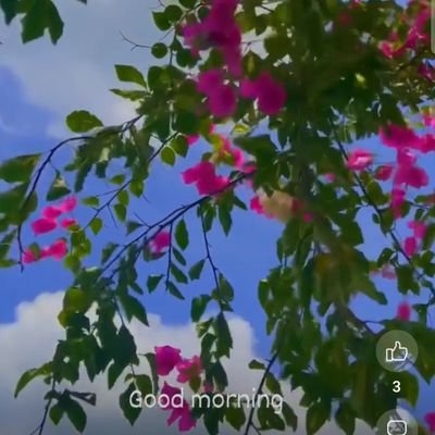 Mamun51301's profile picture. Assalamu walikum every one