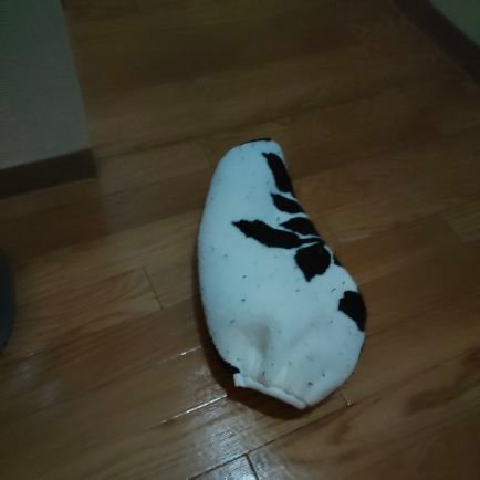 金丐さんのプロフィール画像