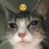 seongso (@deadfromyet) 's Twitter Profile Photo