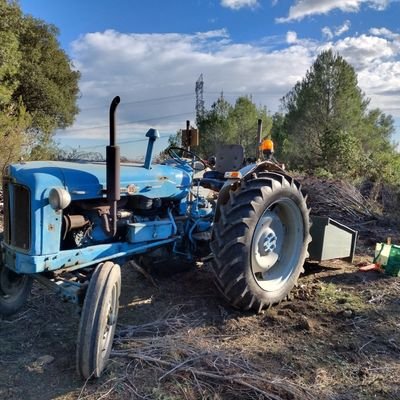 Educador Social en l'àmbit de la salut mental adolescent...apassionat dels animals i els tractors vbells..i sobretot, Banyolí amb tots els ets i uts!