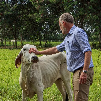 Vet and academic - interests in sustainable livestock and sustainable universities.

All views are my own (or at least not those of my employers).