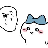 ここちゃん (@pococococopoco) 's Twitter Profile