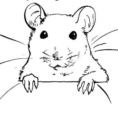 RoaringRat_Twitchさんのプロフィール画像
