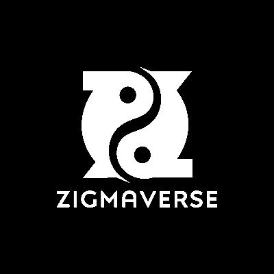 zigmaverse's profile picture. Accept the Change