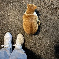 Марина (@marina19333478) Twitter profile photo