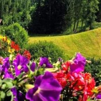 Mahir Poyraz (@poyraz35106) Twitter profile photo