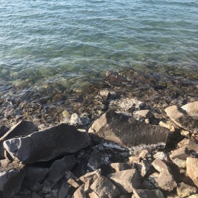 johnkombucha's profile picture. 