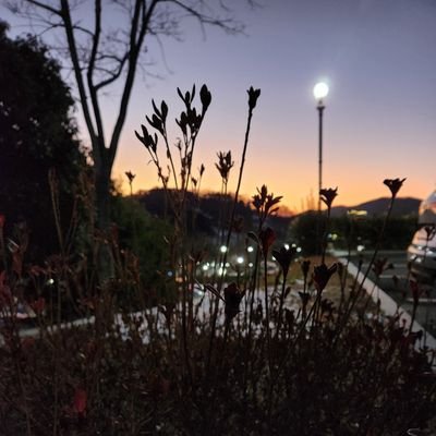 PhD scholar @ Immunoinformatics Lab
~Structural Bioinformatician; AI Freak..
~Philosophical Poet.
◇Wanderlust🌟