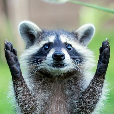 HADO28BITCOINOV's profile picture. 