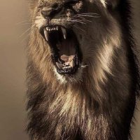 سا💯هد 💯🇸🇦 (@alhdwdkharj) Twitter profile photo