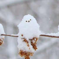 汐呉 (@soliemaurie) 's Twitter Profile