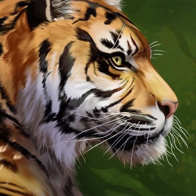 TigerTradesLLC