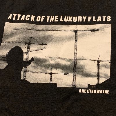 Official account for One Eyed Wayne Band, Music @infonerve LPS Attack Of The Luxury Flats + Saucy Postcards Super Creeps out now Watch the birdie mums the Word