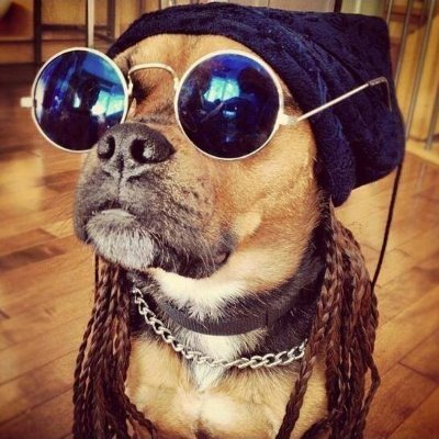 _Andreyano_'s profile picture. Reddio