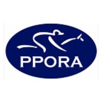 PPORA(@THEPPORA) 's Twitter Profileg