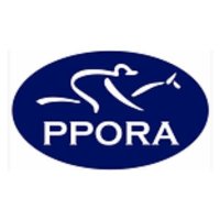 PPORA (@theppora) 's Twitter Profile