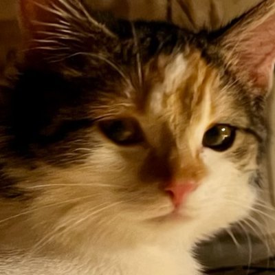 wetzi's profile picture. 