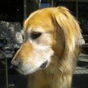 Ann Whitman - @Anninbc - Twitter