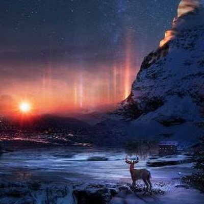 TaraBeckham4's profile picture. 