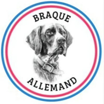 vince_delc's profile picture. 